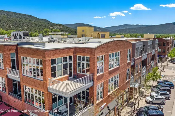 231 Robinson Street #312, Basalt, CO 81621