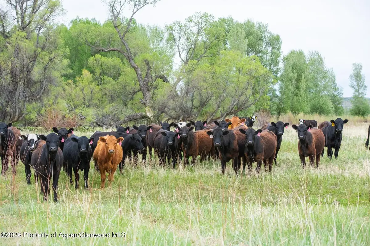 Tbd County Road 77, Craig, CO 81625 - #1