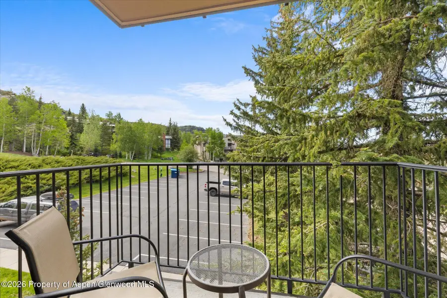 2350 Ski Trail Lane #124, Steamboat Springs, CO 80487 - #3