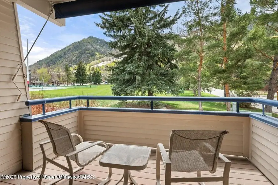 301 E Hyman Avenue #202, Aspen, CO 81611 - #3