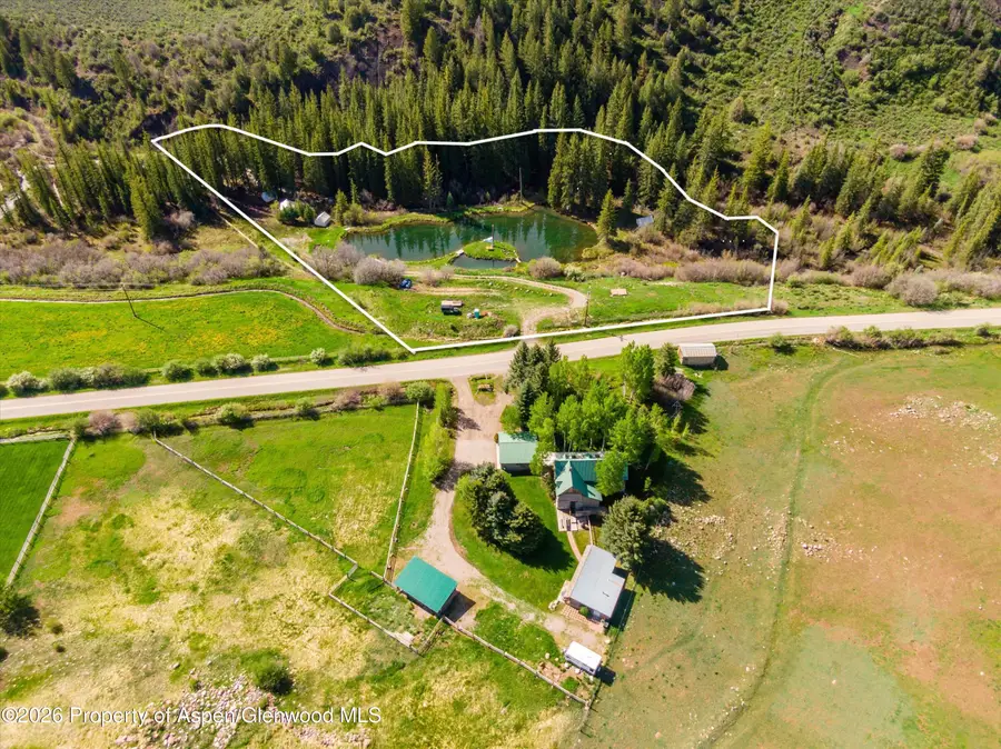1645 Capitol Creek Road, Snowmass, CO 81654 - #3
