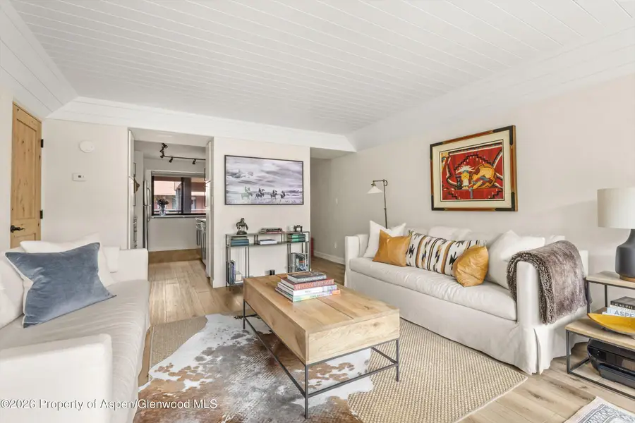 941 Vine Street, Aspen, CO 81611 - #3