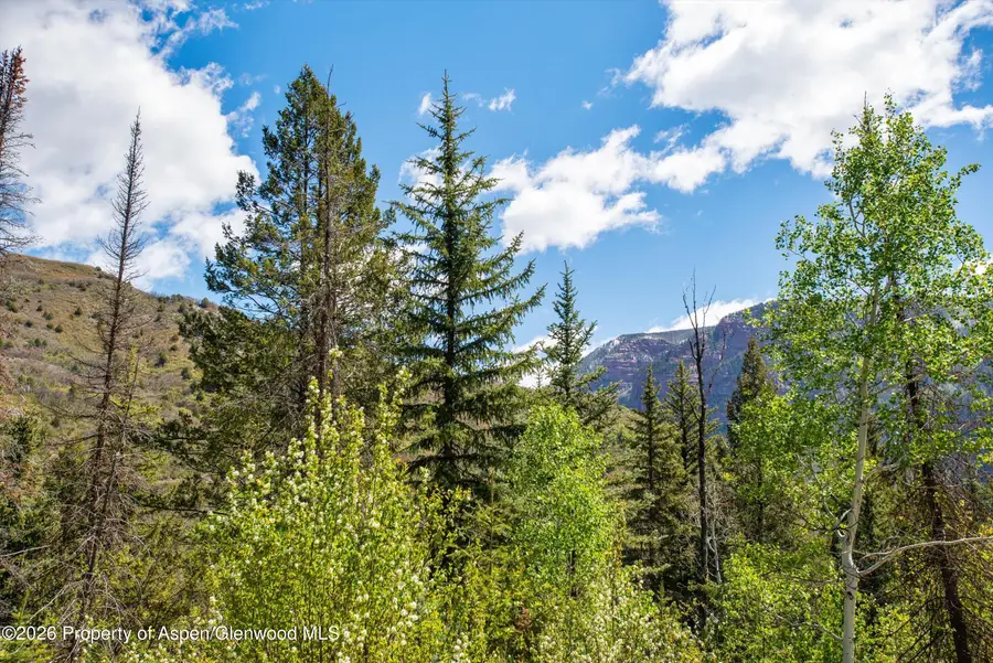Tbd Coal Creek Road, Redstone, CO 81623 - #3