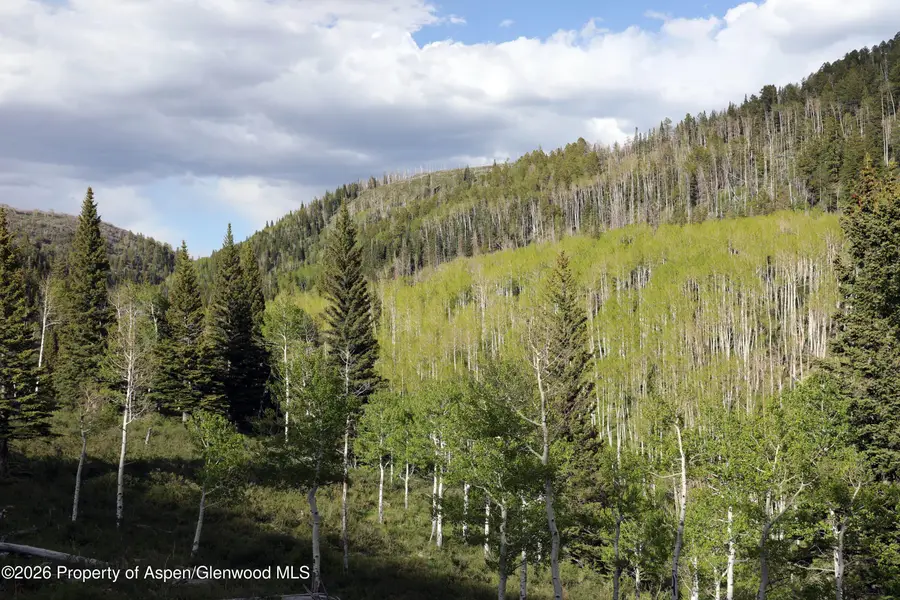Tbd Ms Road, Glade Park, CO 81523 - #2