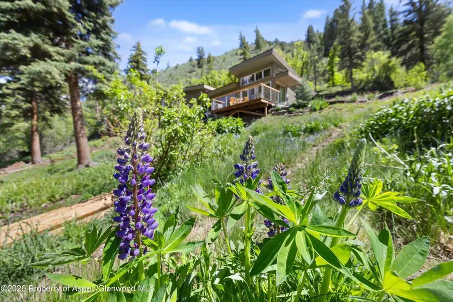 768 Kings Lake Road, Basalt, CO 81621 - #3
