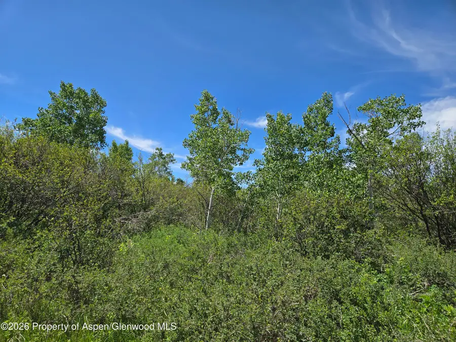 341 Treemoss Drive, Craig, CO 81625 - #3