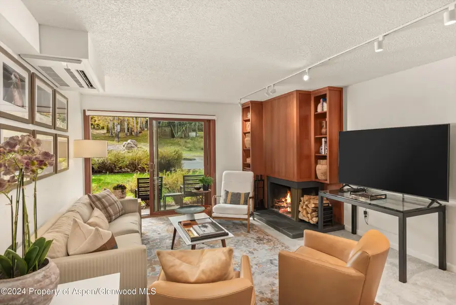 205 E Durant Avenue #1-C, Aspen, CO 81611 - #2