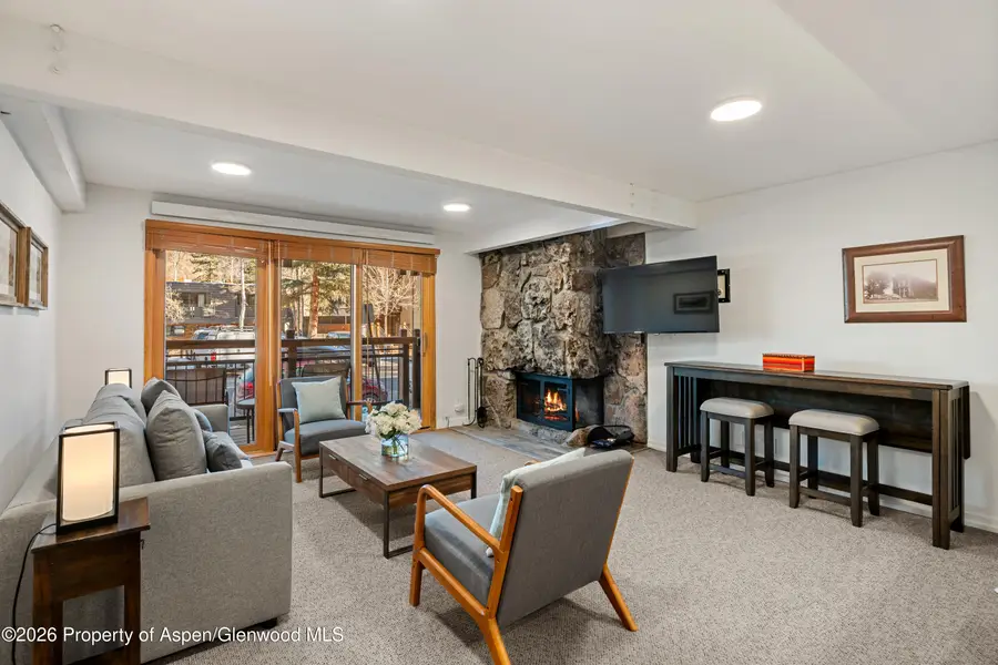 131 E Durant Avenue #104, Aspen, CO 81611 - #2