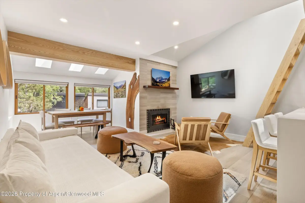 910 W Hallam Street #9, Aspen, CO 81611 - #1