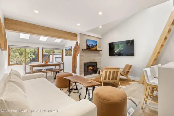 910 W Hallam Street #9, Aspen, CO 81611