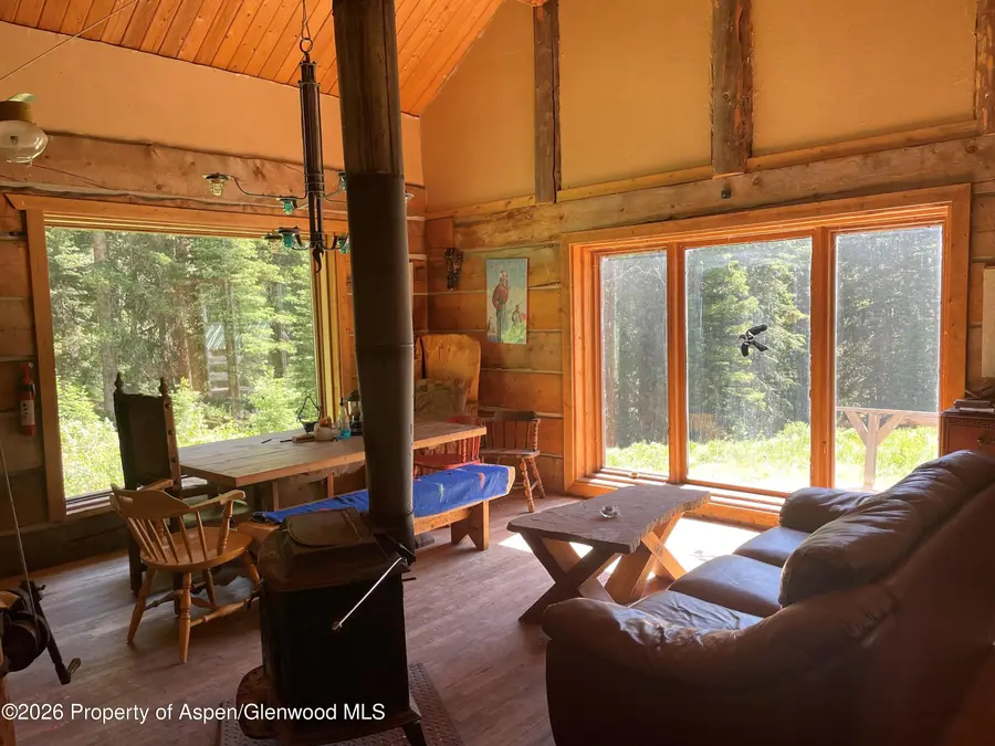 1760 Forest Service Rd 315, Marble, CO 81623 - #3