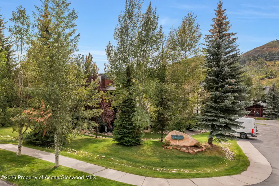 435 Ore House Plaza #101, Steamboat Springs, CO 80487 - #3
