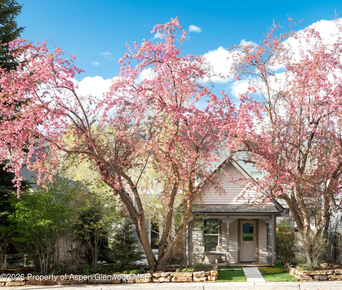1006 E Cooper Avenue, Aspen, CO 81611 - #1