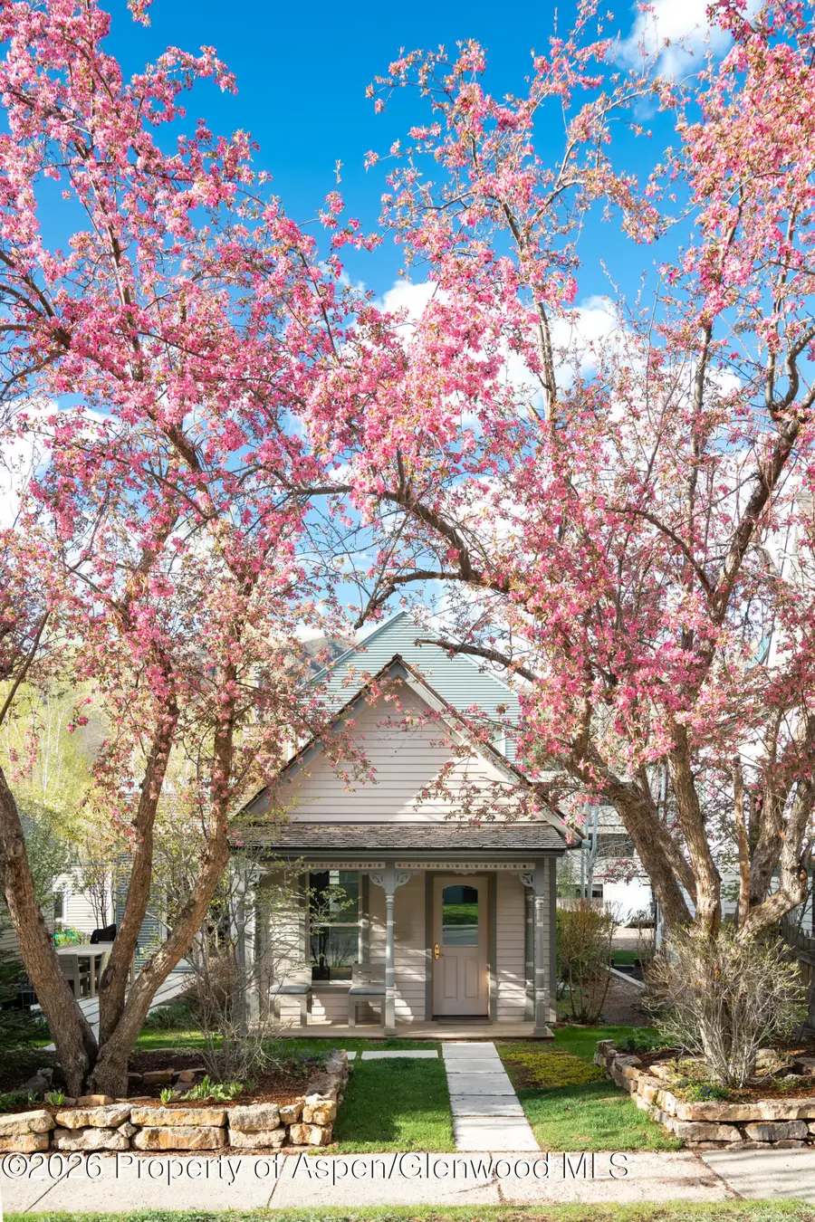 1006 E Cooper Avenue, Aspen, CO 81611 - #2