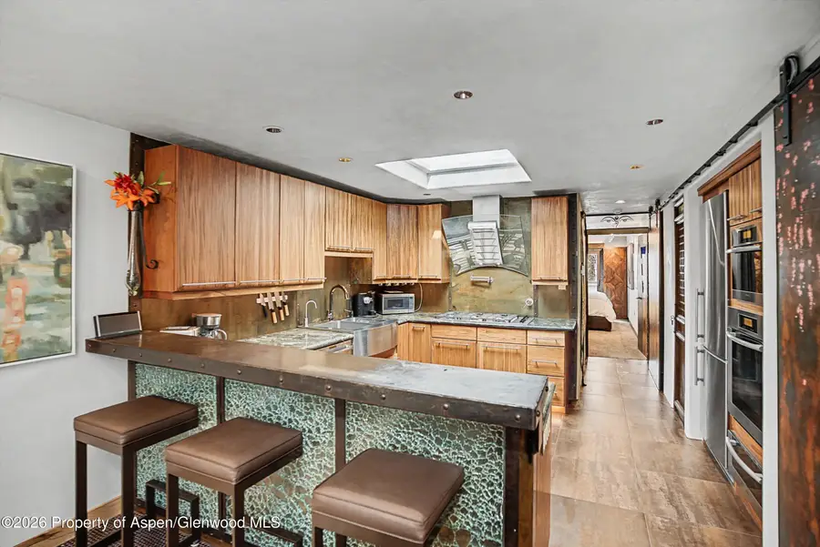 100 E Dean Street #3c, Aspen, CO 81611 - #3