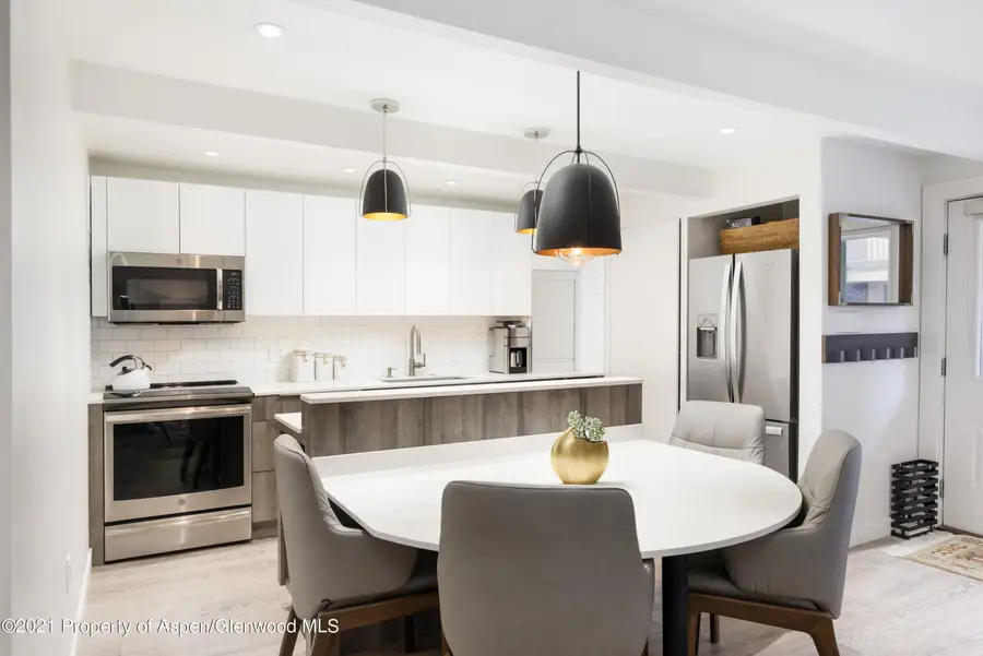 630 E Cooper Avenue #2, Aspen, CO 81611 - #2