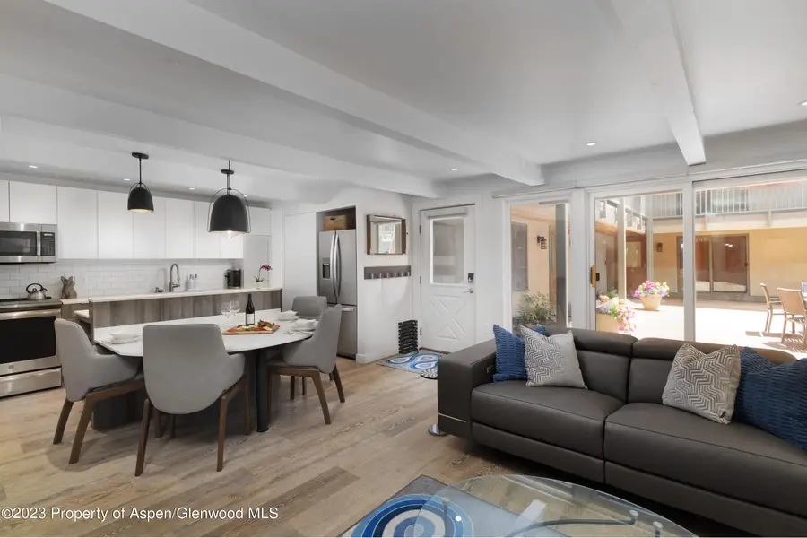 630 E Cooper Avenue #2, Aspen, CO 81611 - #3