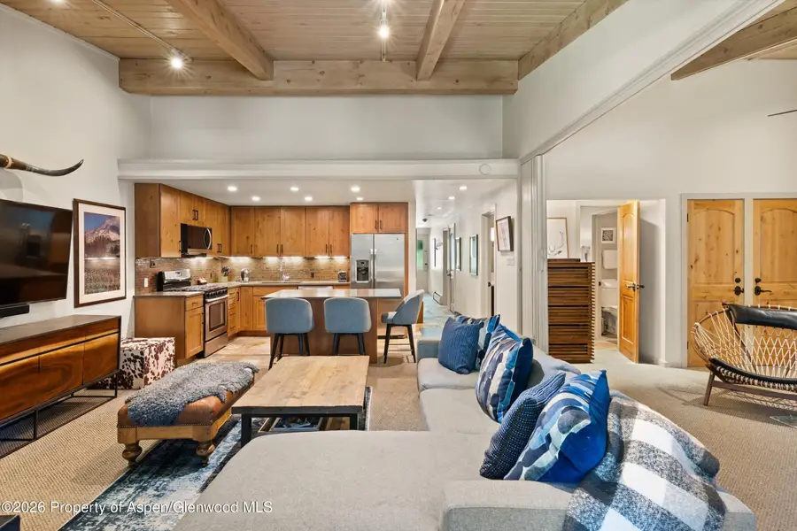 700 Ute Avenue #213, Aspen, CO 81611 - #3
