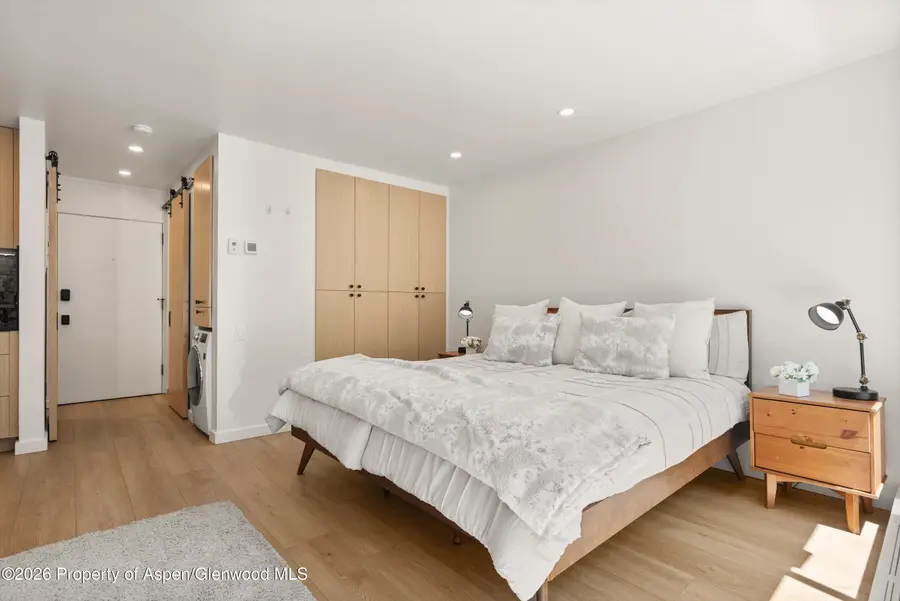 725 E Main Street #107, Aspen, CO 81611 - #2