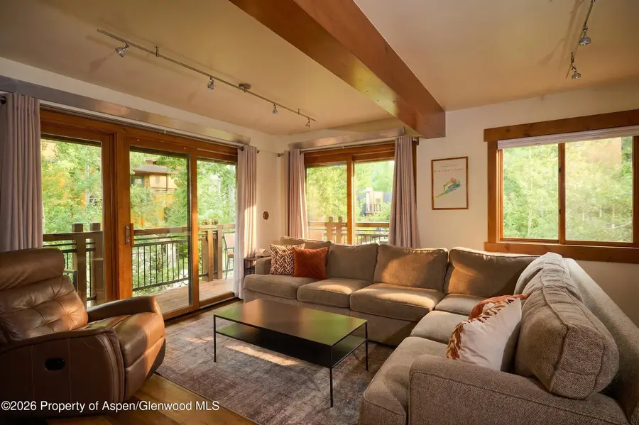 131 E Durant Avenue #410, Aspen, CO 81611 - #2