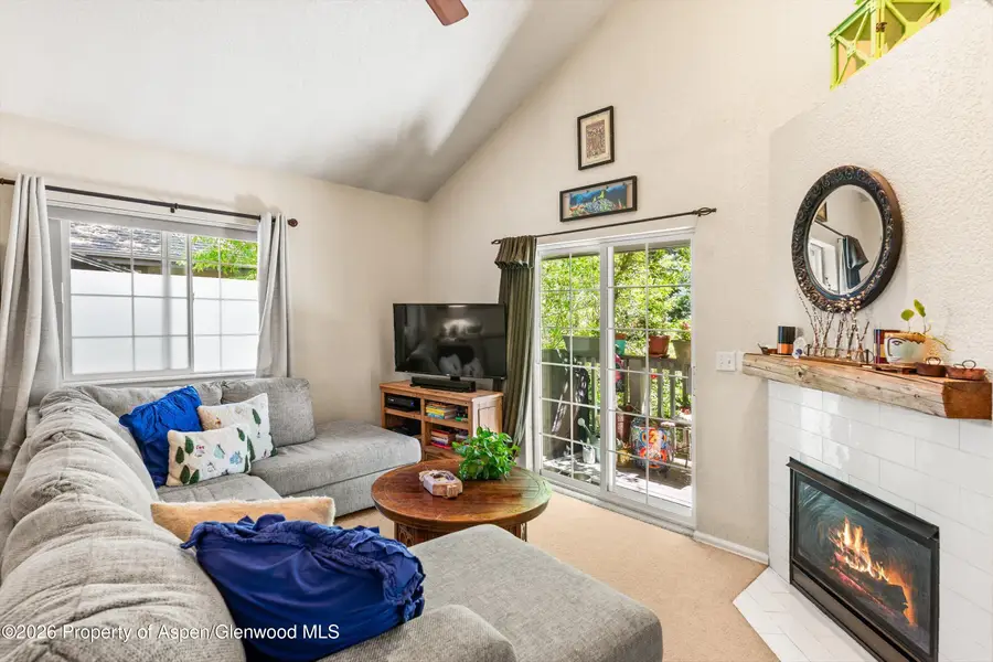 5203 Elk Lane, Basalt, CO 81621 - #2