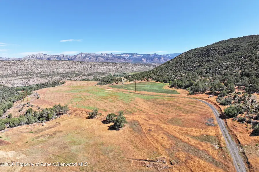 5402 Ke Road, Collbran, CO 81624 - #2