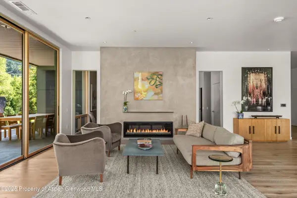105 Willow Road #203, Basalt, CO 81621