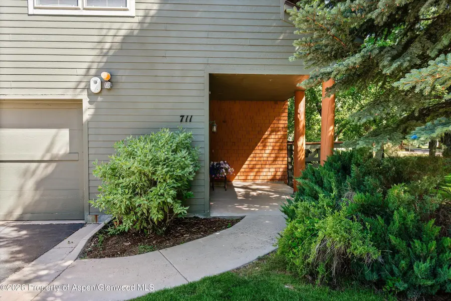 711 Evans Court, Basalt, CO 81621 - #3