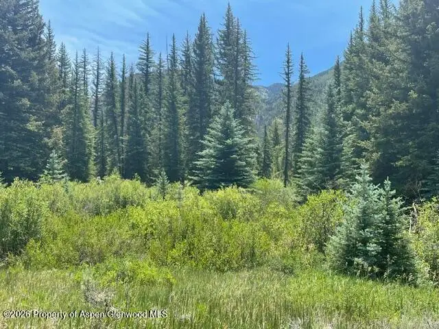 3950 County Road 3, Marble, CO 81623 - #2