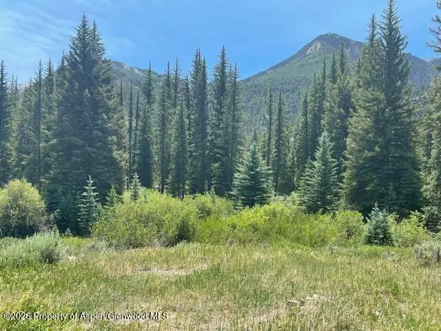 3950 County Road 3, Marble, CO 81623 - #3