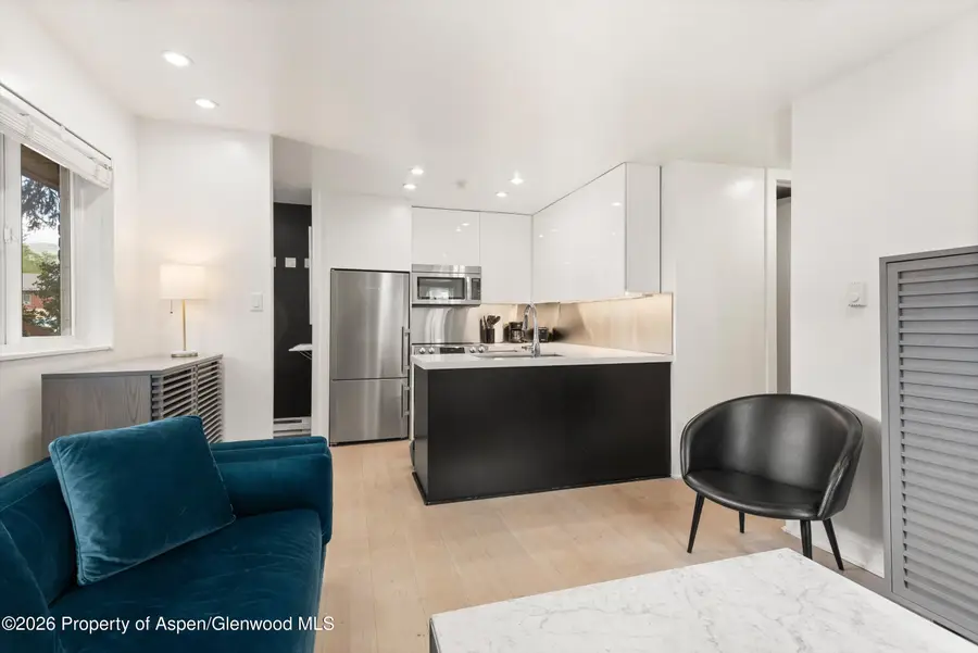 805 E Cooper Avenue #2, Aspen, CO 81611 - #3