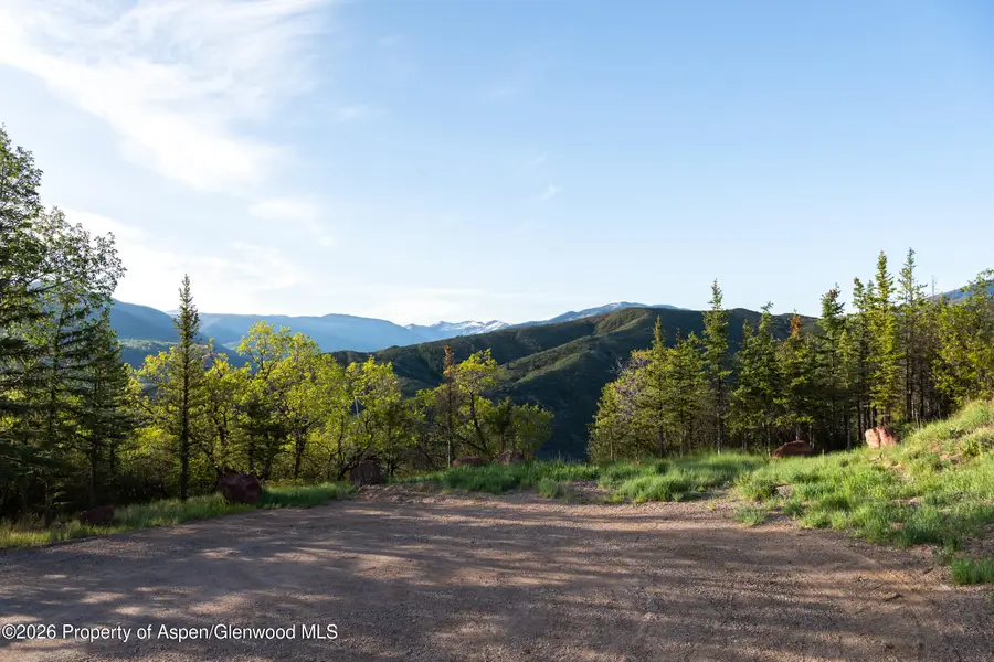 148 Tabula Rasa Lane, Aspen, CO 81611 - #3