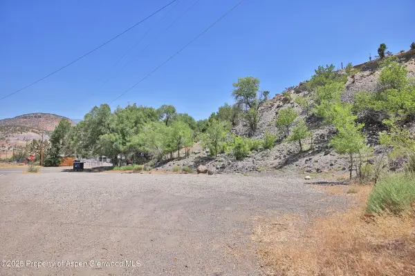 Tbd 57 1/2 Road, Collbran, CO 81624