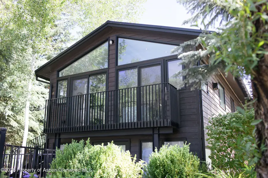 950 E Durant Avenue #4, Aspen, CO 81611 - #3