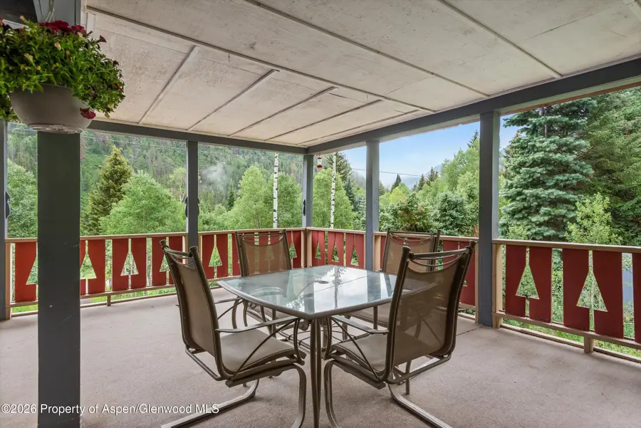 71 Aspen Street, Carbondale, CO 81623 - #2