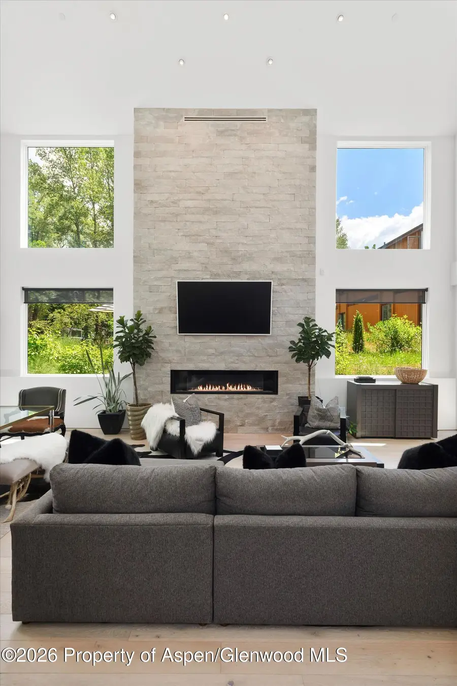 813 W Smuggler Street, Aspen, CO 81611 - #3