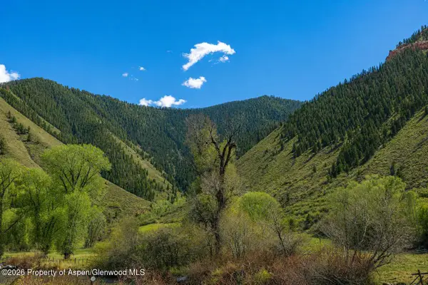 123 Wapiti Way, Basalt, CO 81621