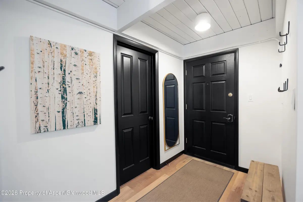 901 E Hyman Avenue #4, Aspen, CO 81611 - #1