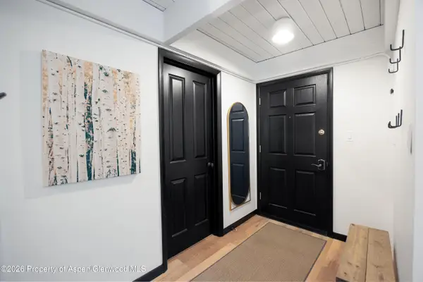 901 E Hyman Avenue #4, Aspen, CO 81611