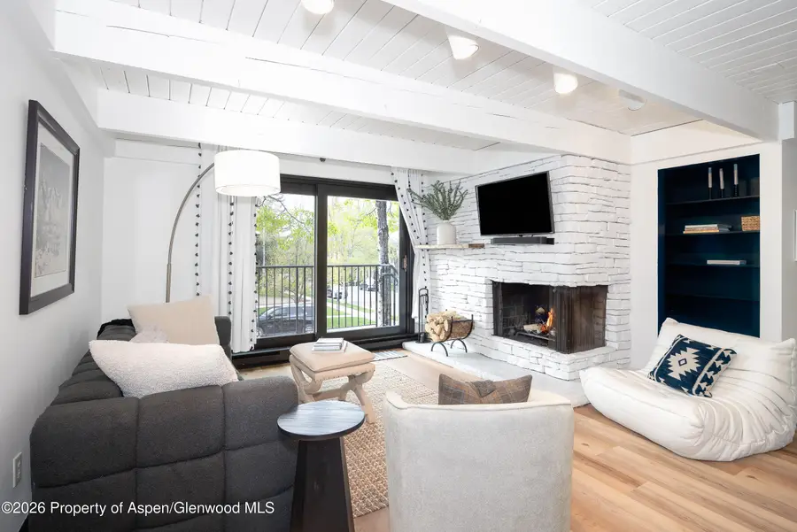 901 E Hyman Avenue #4, Aspen, CO 81611 - #3