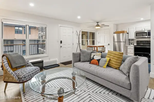 1020 E Durant Avenue #203, Aspen, CO 81611