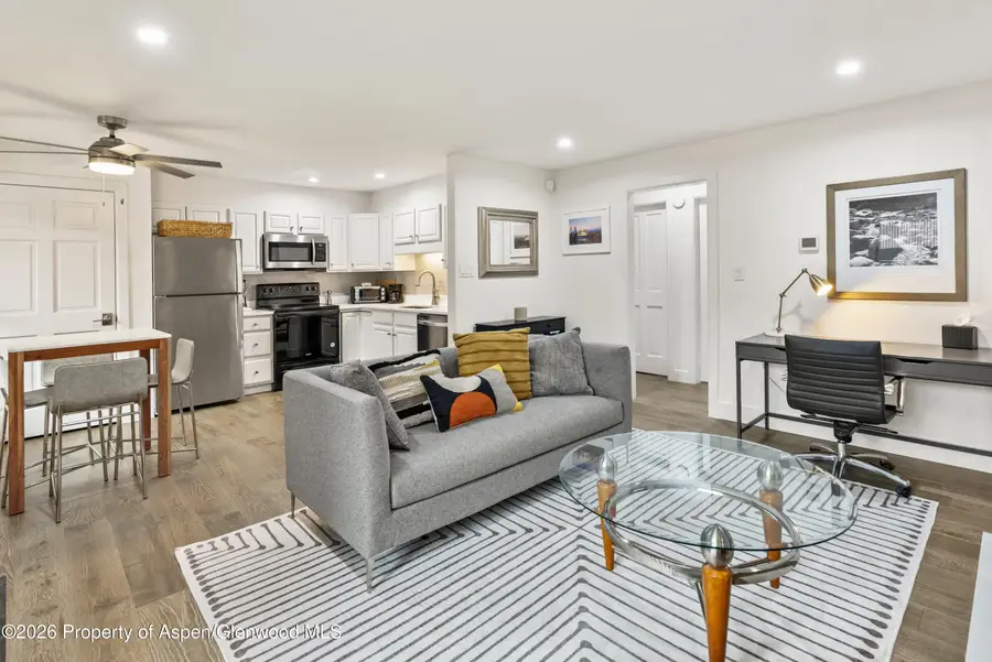 1020 E Durant Avenue #203, Aspen, CO 81611 - #2