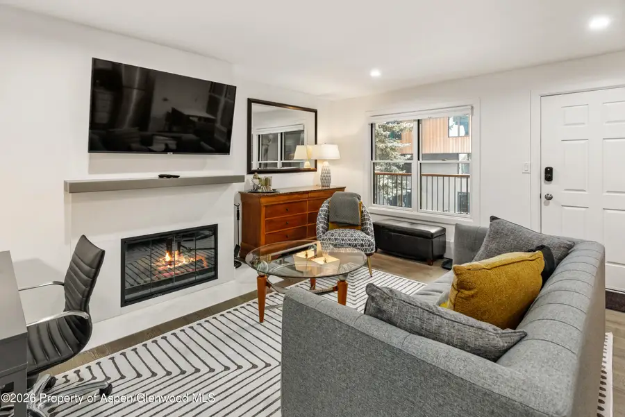 1020 E Durant Avenue #203, Aspen, CO 81611 - #3