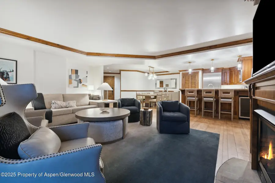 415 E Dean St, #47, Weeks 51/52, Aspen, CO 81611 - #3