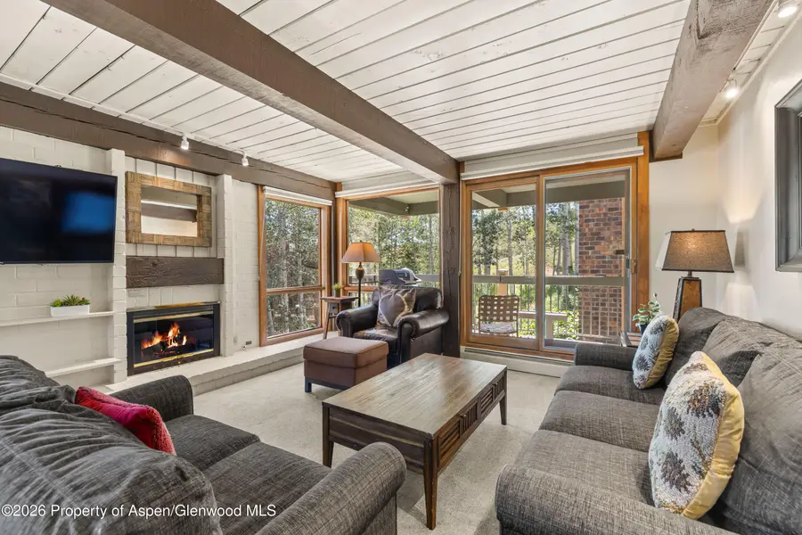 855 Carriage Way #Slope 201, Snowmass Village, CO 81615 - #3