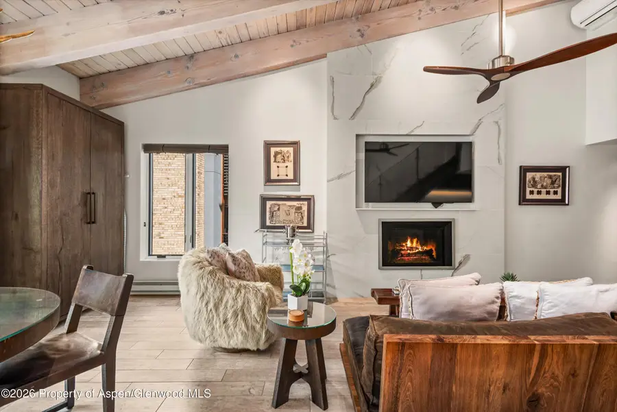 690 Carriage Way #304, Snowmass Village, CO 81615 - #3