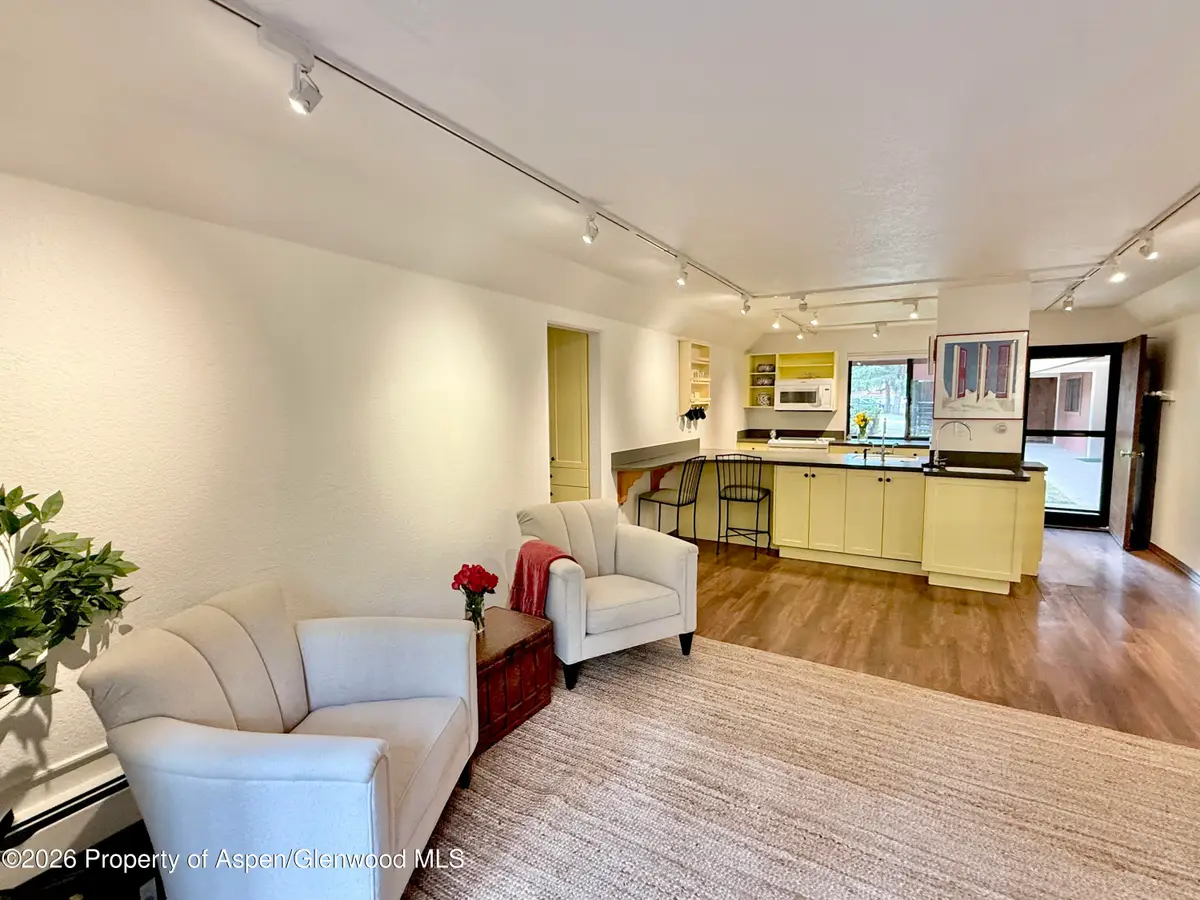 1214 Vine Street #1214, Aspen, CO 81611 - #1