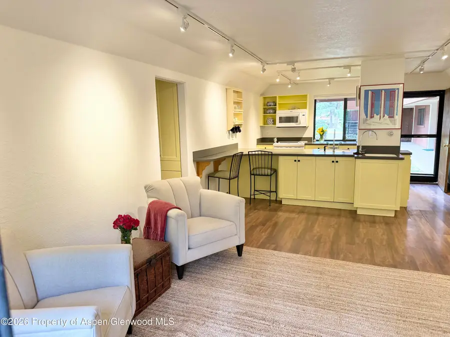 1214 Vine Street #1214, Aspen, CO 81611 - #2