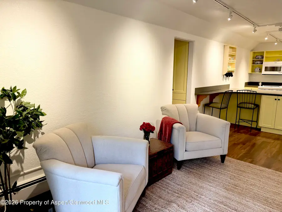 1214 Vine Street #1214, Aspen, CO 81611 - #3