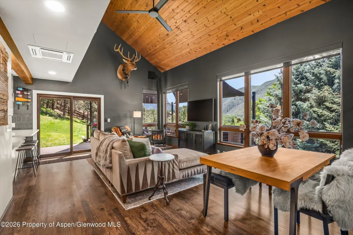 56 Booth Lane, Basalt, CO 81621 - #1